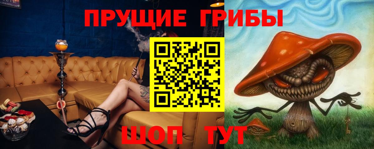 Псилоцибиновые грибы мицелий  Псилоцибиновые грибы Psilocybine cubensis  Гусиноозёрск  Вход с VPN 